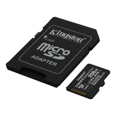 Карта памяти microSDXC 256GB, Kingston SDCS3/256GB, Canvas Select Plus Gen3, A1, 100M/s, +adapter