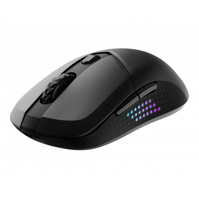 Мышь MSI VERSA 300 ELITE WIRELESS /RGB /2.4 GHz W /Bluetooth 5.3 /USB 2.0 /6 кн. /65 гр. /Черный Мышь MSI VERSA 300 ELITE WIRELESS /RGB /2.4 GHz W /Bluetooth 5.3 /USB 2.0 /6 кн. /65 гр. /Черный