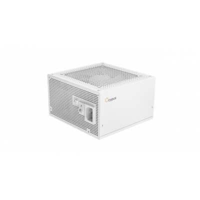 Блок питания Ocypus Iota P850 WH 850W Full Modular, 80+ GOLD, КПД 91% Белый, Iota-P850-G1FFWH025X-EU