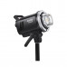 Импульсный свет Godox MS300V
